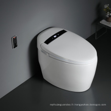 Nouvelles fonctions automatiques Toilettes électriques intelligentes